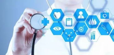 医院档案网络化管理的实践与网络信息技术开发路径探析